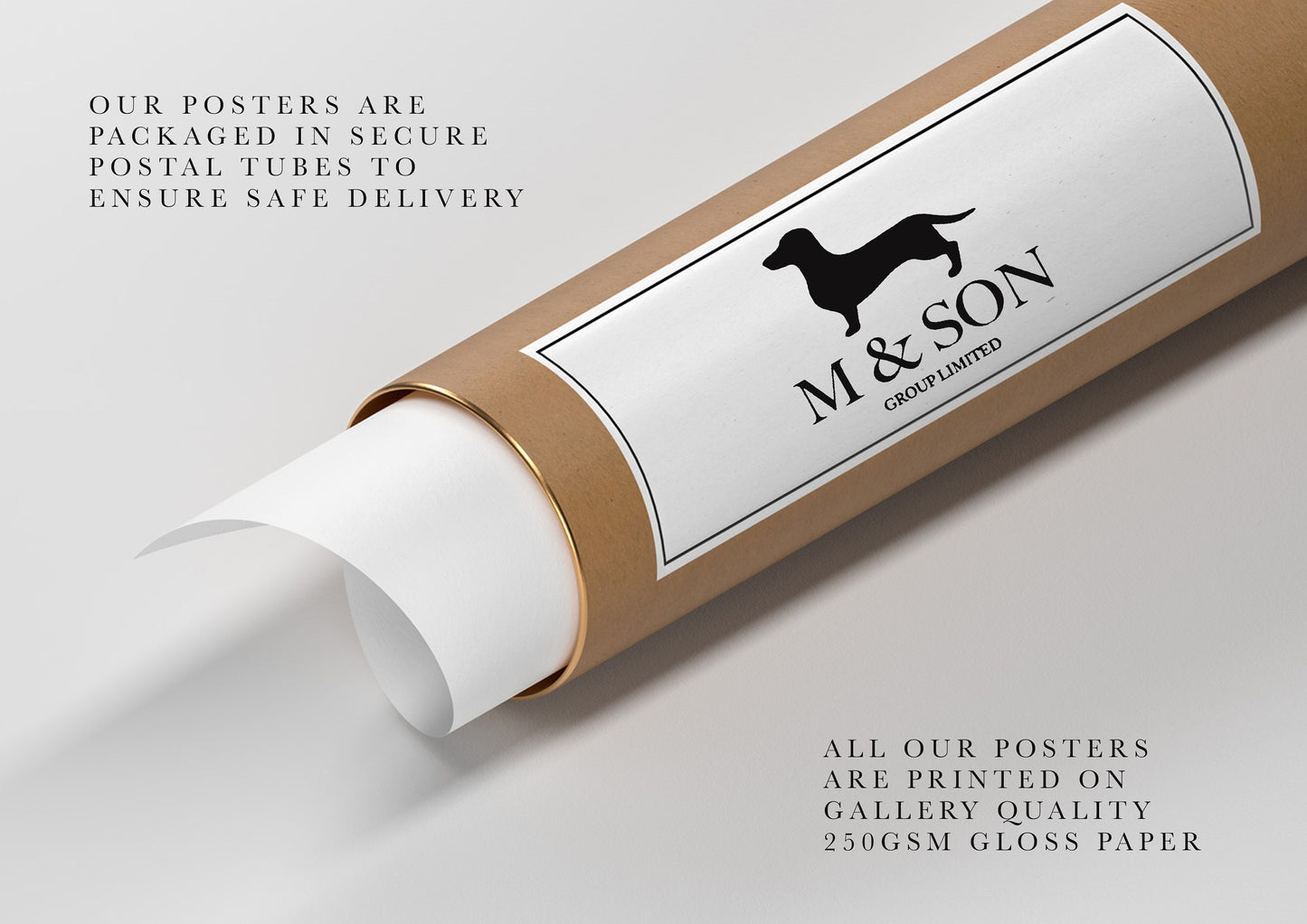 Patek Philippe Calatrava Poster